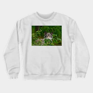 Grey Wolf Crewneck Sweatshirt